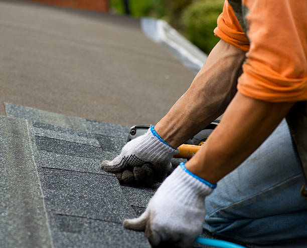 Roof Gutter Cleaning in Oro Valley, AZ